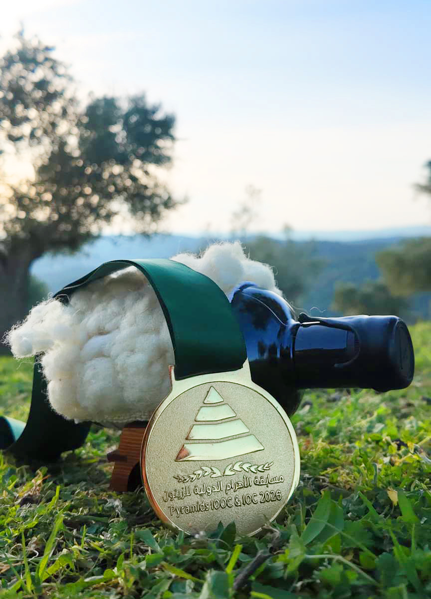 Medalla de Oro para nuestro aceite de oliva virgen extra en el Concurso Internacional Pyramids IOOC 2026