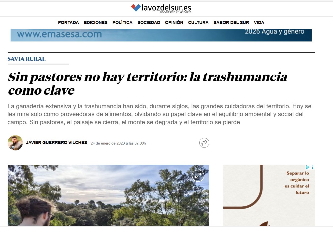 Reflexiones sobre el Olivar y la Trashumancia: Javi Guerrero en La Voz del Sur